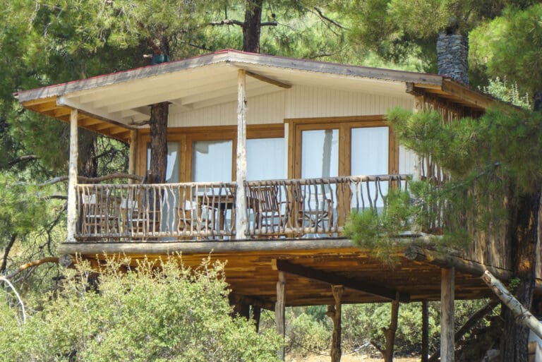 The Treehouse Turkey