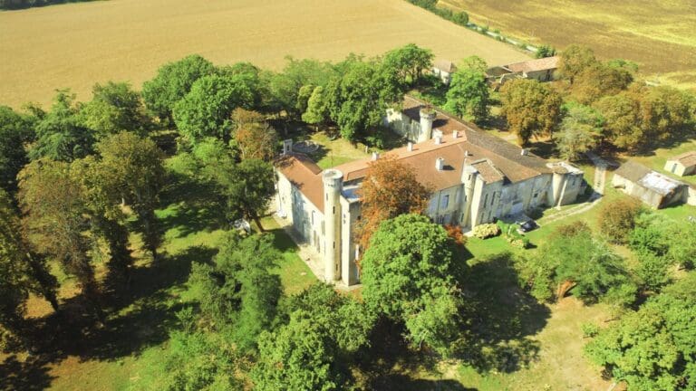 Chateau Rural | 12-Bedroom Chateau in Lamothe-Goas Pis
