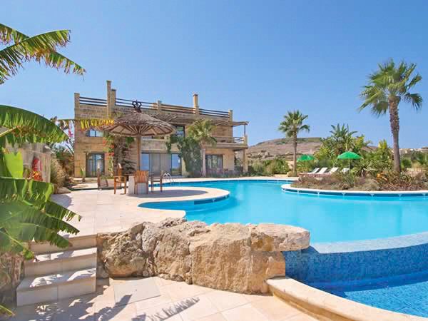 Orchidea Malta