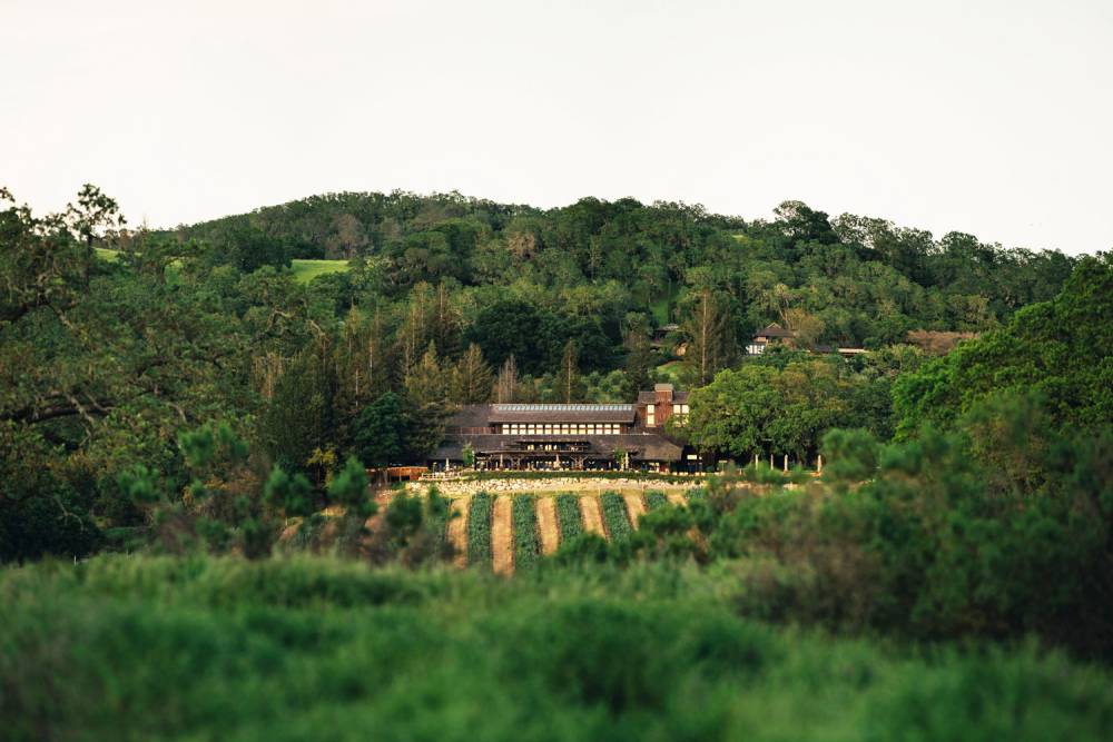 Exploring Insignia – Joseph Phelps’ Flagship Wine