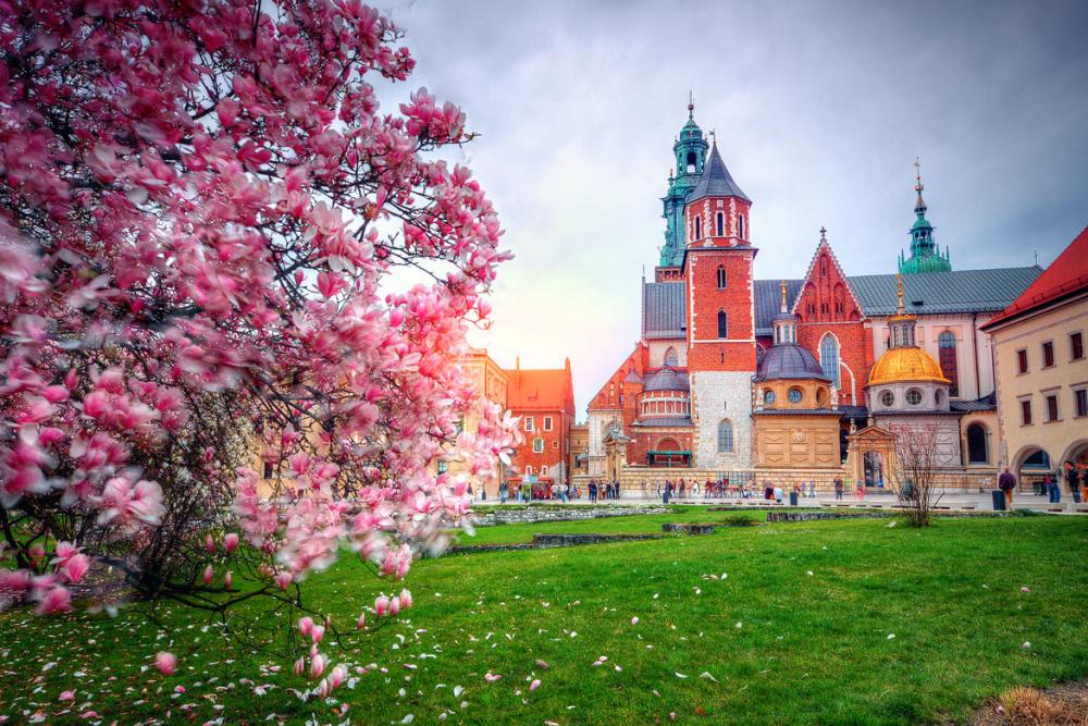 Poland: Rich In History, Rich In Food