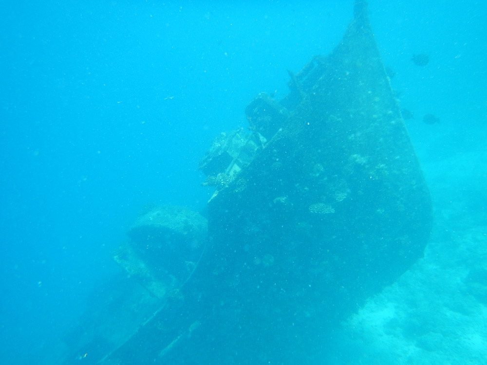 Scuba Diving In The Maldives With Prodivers