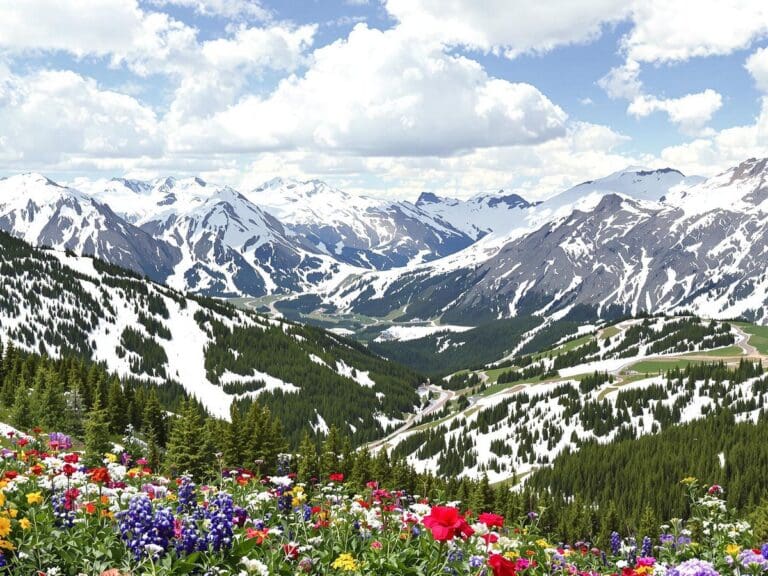 Erkunden Sie Skifahren, Wandern und mehr in Vail: Ihr ultimativer Abenteuerführer