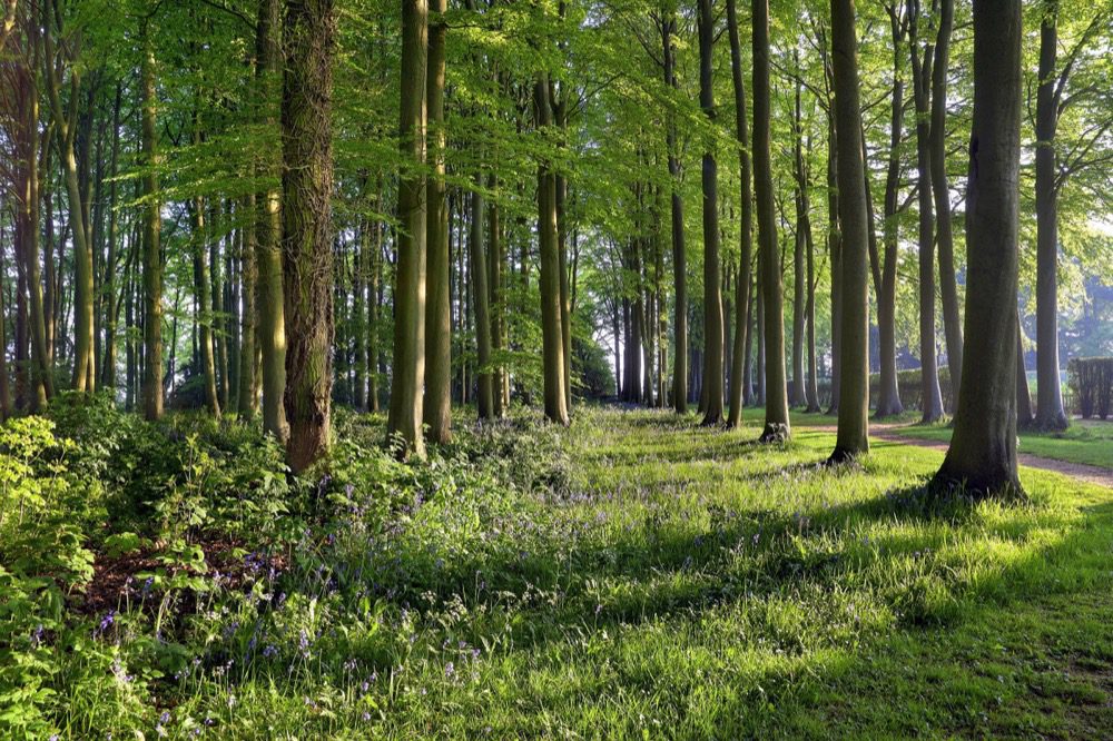 Best Family Sporting Activities in the Cotswolds: Hiking, Cycling & More
