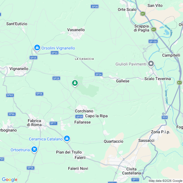 Approximate location