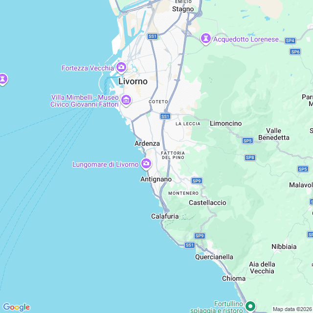 Approximate location